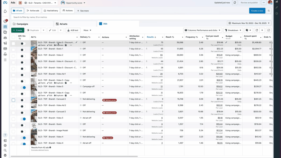 Silver Leaf ads manager, campaign performance